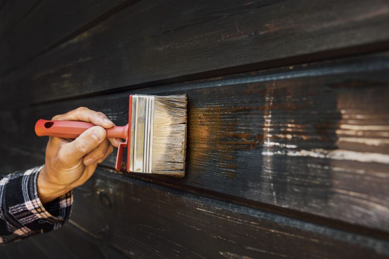 Cladding Painting in Longmont, CO