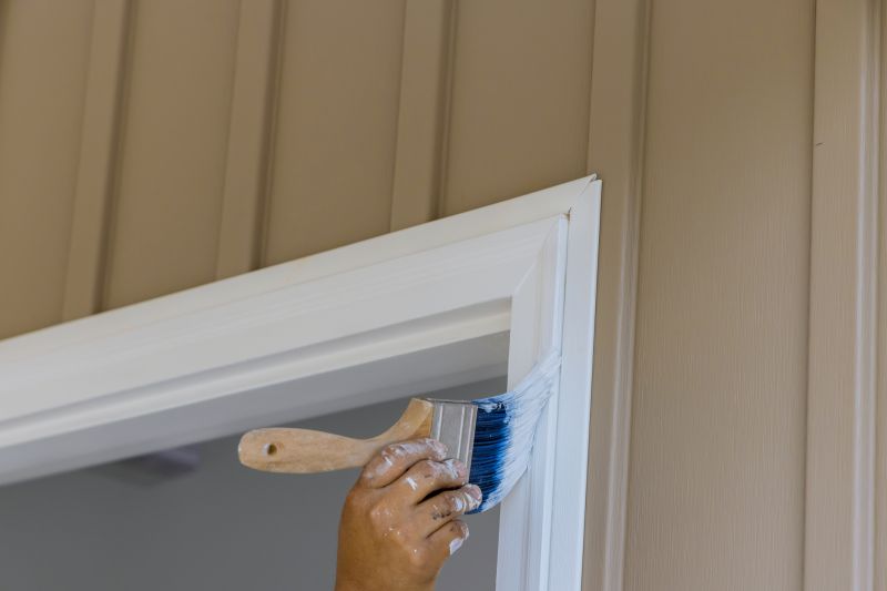 Cladding Painting in Longmont, CO
