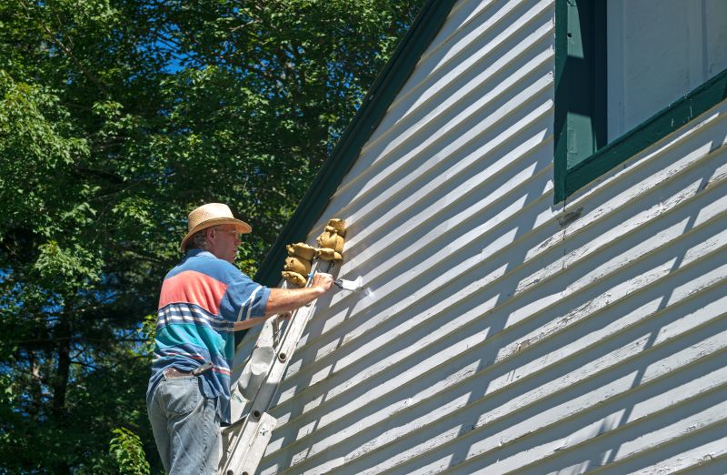 Siding and trim painting